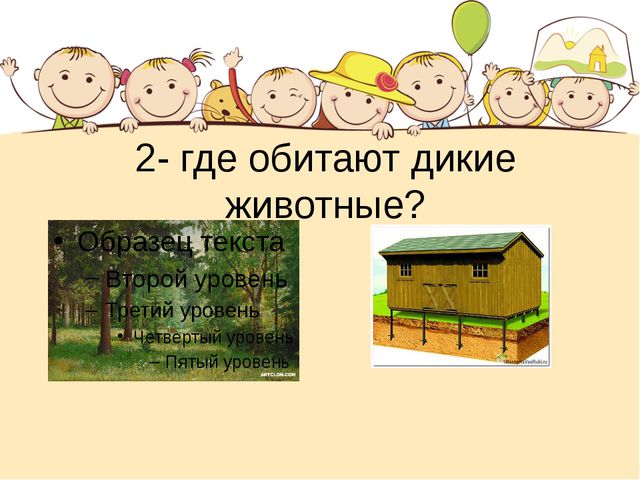 Этот загадочный животный мир. Презентация интеллектуальной игры для детей старшего дошкольного возраста
