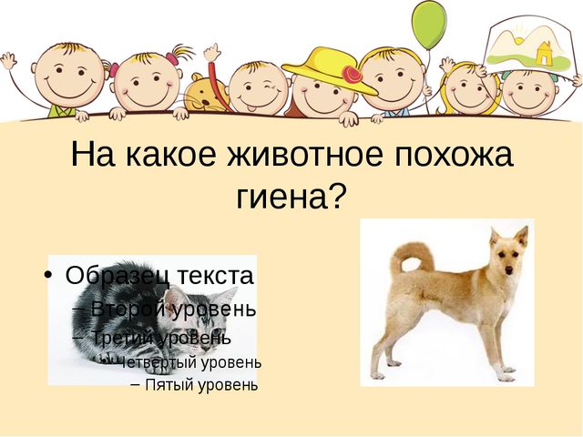Этот загадочный животный мир. Презентация интеллектуальной игры для детей старшего дошкольного возраста