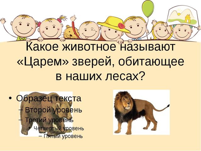 Этот загадочный животный мир. Презентация интеллектуальной игры для детей старшего дошкольного возраста