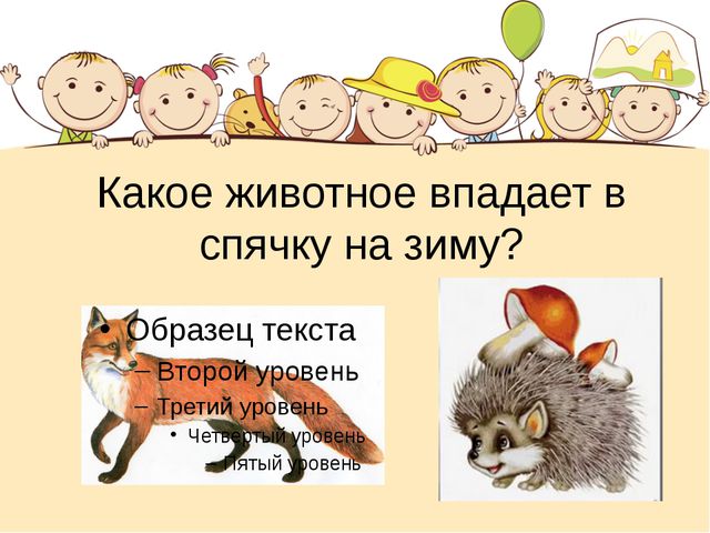 Этот загадочный животный мир. Презентация интеллектуальной игры для детей старшего дошкольного возраста