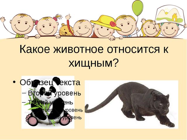 Какой год 2012 какого животного. У какого животного есть сумка. Какого животного. 2012 Какого животного. .У кого из животных есть сумка?.