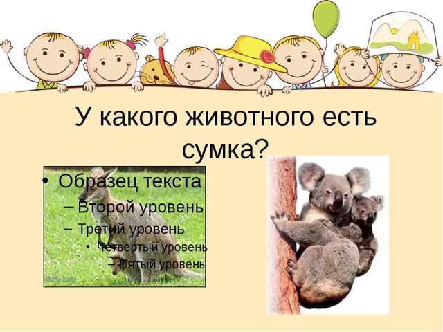 Этот загадочный животный мир. Презентация интеллектуальной игры для детей старшего дошкольного возраста