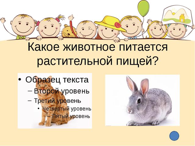 Этот загадочный животный мир. Презентация интеллектуальной игры для детей старшего дошкольного возраста