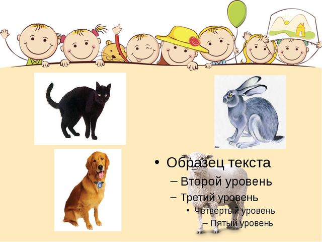 Этот загадочный животный мир. Презентация интеллектуальной игры для детей старшего дошкольного возраста