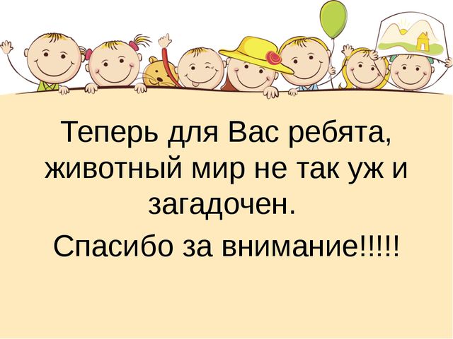 Этот загадочный животный мир. Презентация интеллектуальной игры для детей старшего дошкольного возраста