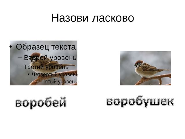 Учим звук Ш