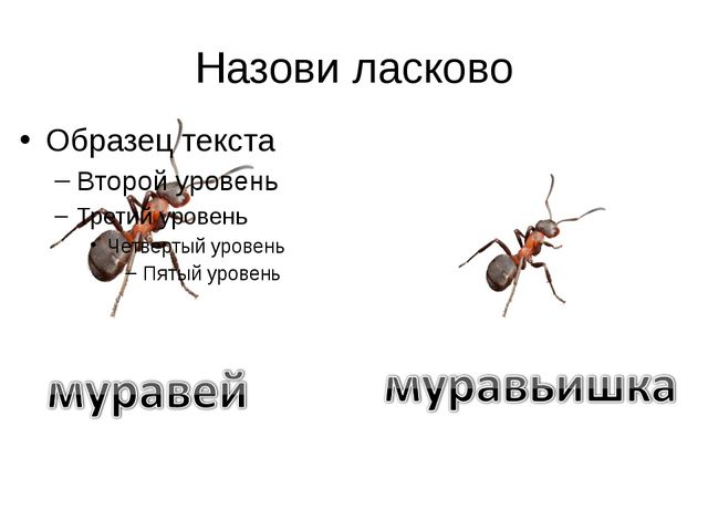 Учим звук Ш