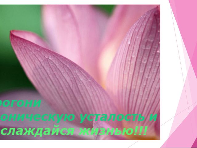 Профилактика хронической усталости у педагогов