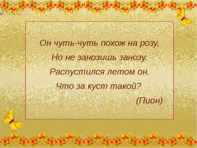 Викторина Цветы моего сада