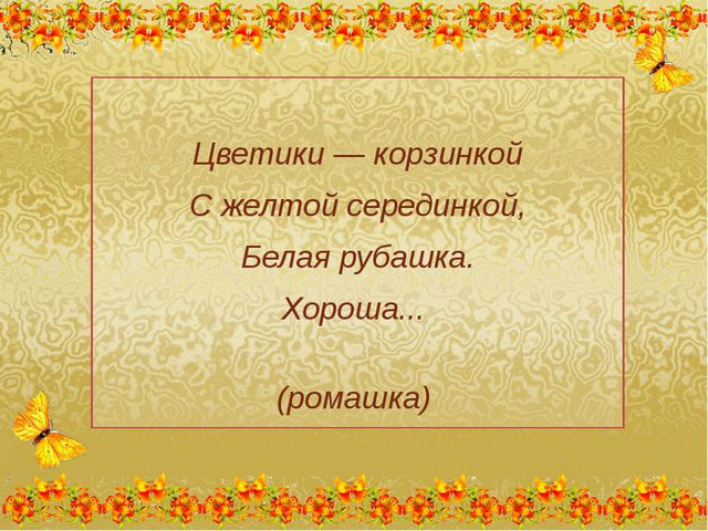 Викторина Цветы моего сада