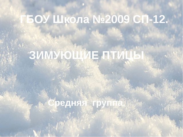 Зимующие птицы. Презентация