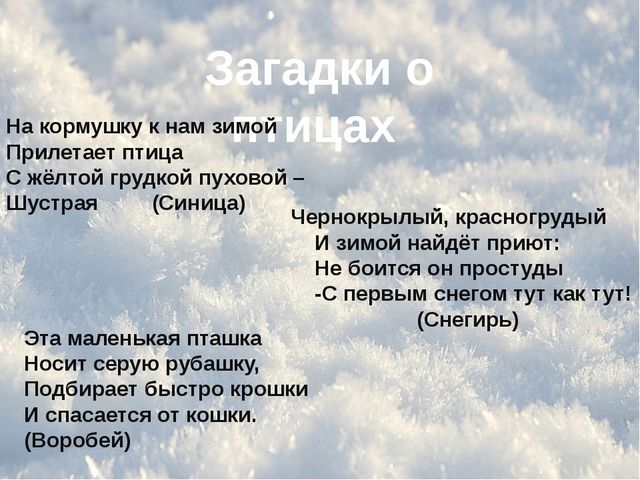 Зимующие птицы. Презентация