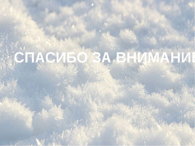 Зимующие птицы. Презентация