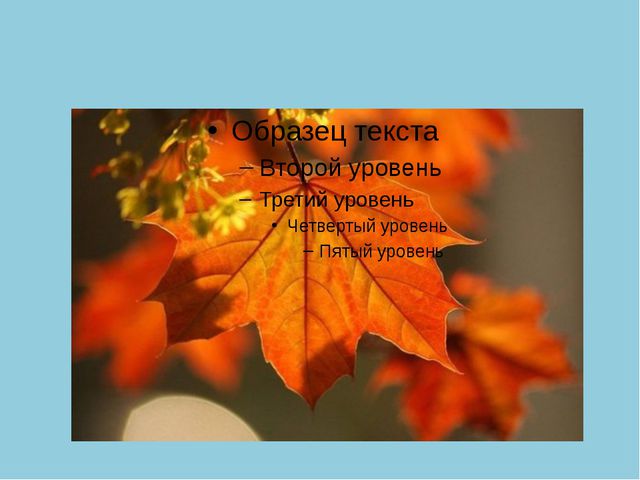 Золотая Осень. Презентация по ознакомлению с окружающим миром