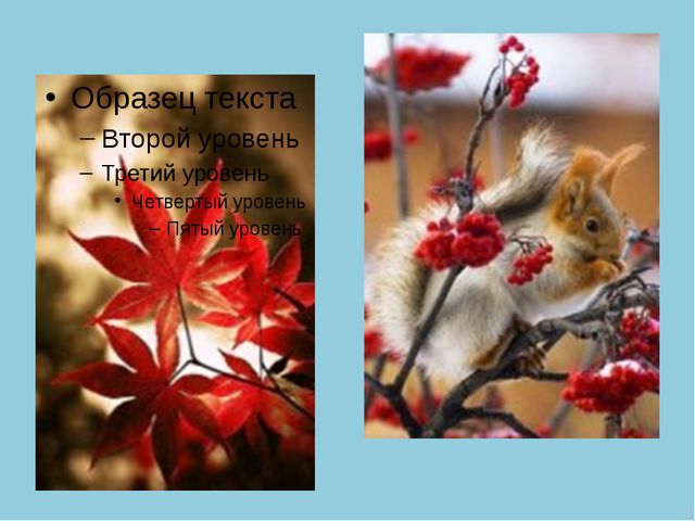 Золотая Осень. Презентация по ознакомлению с окружающим миром