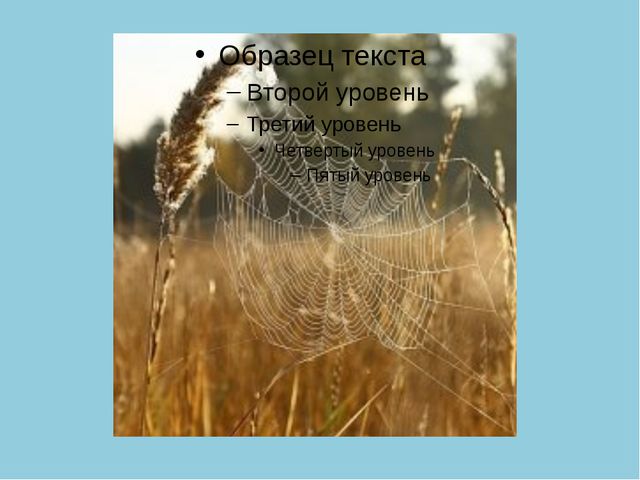 Золотая Осень. Презентация по ознакомлению с окружающим миром