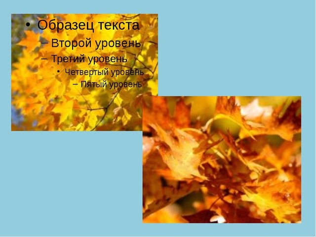 Золотая Осень. Презентация по ознакомлению с окружающим миром