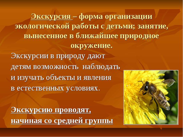 Экскурсии как форма организации экологической работы с детьми дошкольного возраста