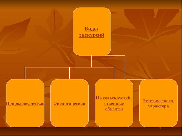 Экскурсии как форма организации экологической работы с детьми дошкольного возраста