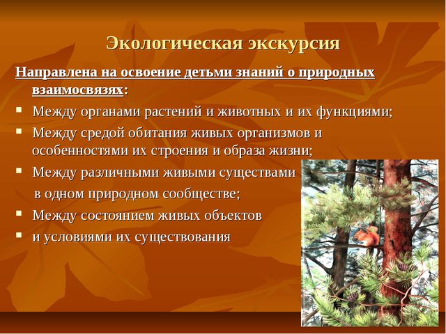 Экскурсии как форма организации экологической работы с детьми дошкольного возраста