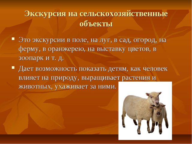 Экскурсии как форма организации экологической работы с детьми дошкольного возраста