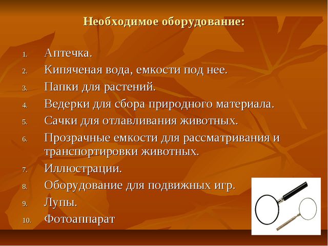 Экскурсии как форма организации экологической работы с детьми дошкольного возраста