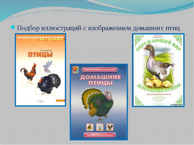 Обитатели птичника