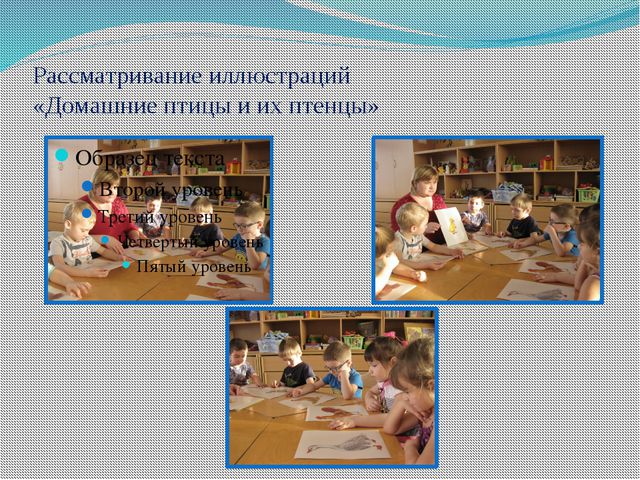 Обитатели птичника