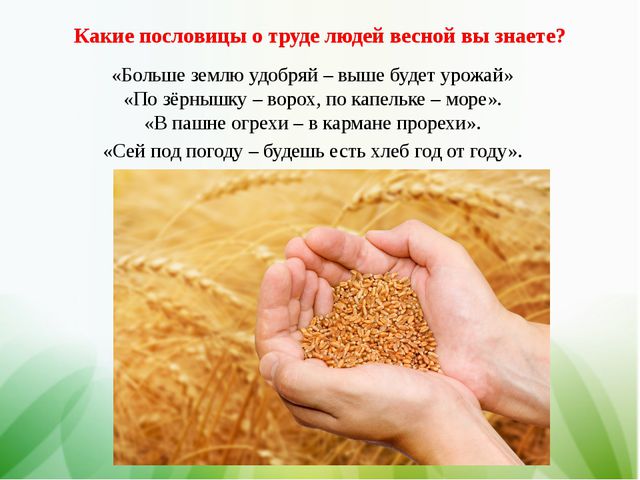 Труд людей весной, старшим дошкольникам