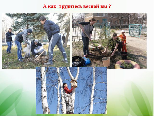 Труд людей весной, старшим дошкольникам