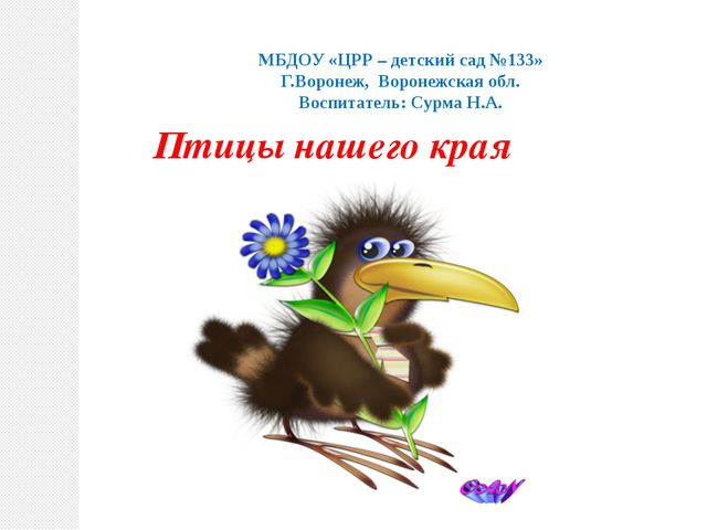 Птицы нашего края. Презентация по познавательному развитию