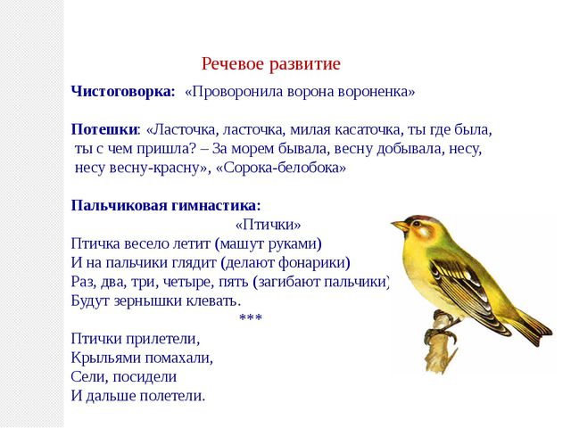 Птицы нашего края. Презентация по познавательному развитию