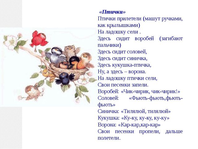 Птицы нашего края. Презентация по познавательному развитию