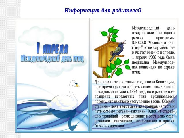 Птицы нашего края. Презентация по познавательному развитию