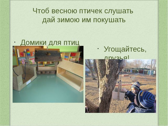 Наши пернатые друзья. Проектная деятельность в средней группе
