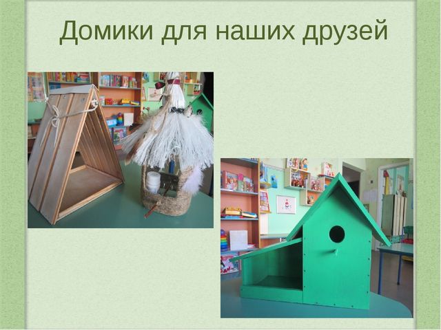 Наши пернатые друзья. Проектная деятельность в средней группе