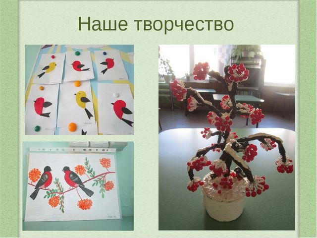Наши пернатые друзья. Проектная деятельность в средней группе