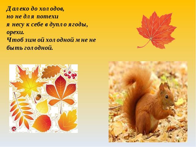 Как животные к зиме готовятся. Презентация