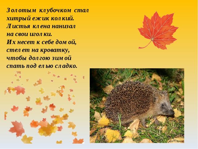 Как животные к зиме готовятся. Презентация