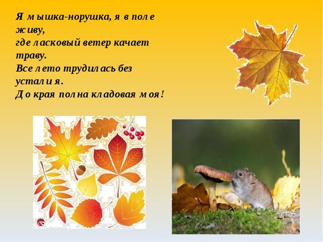 Как животные к зиме готовятся. Презентация