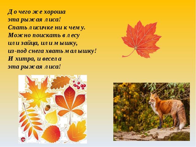 Как животные к зиме готовятся. Презентация