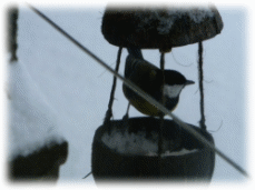 Picture 44