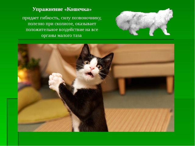 Работа по ЗОЖ в семье и детском саду