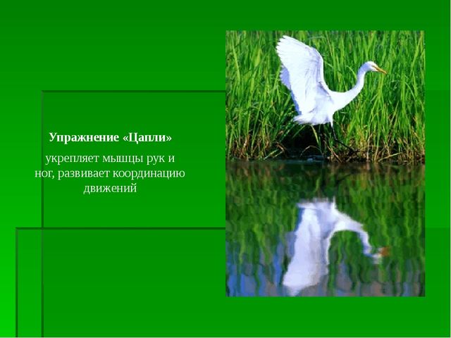 Работа по ЗОЖ в семье и детском саду