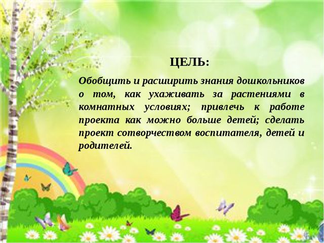 Поисково-исследовательская деятельность. Росток
