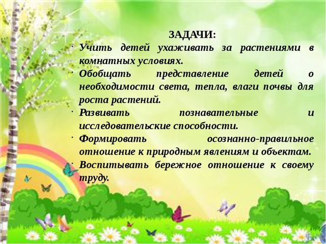 Поисково-исследовательская деятельность. Росток