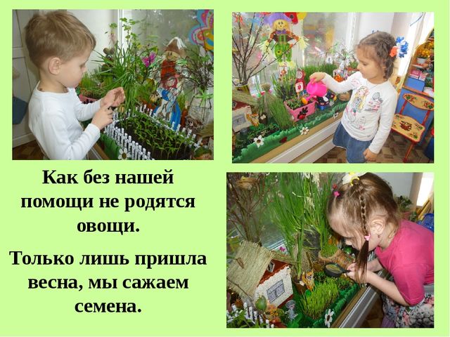 Поисково-исследовательская деятельность. Росток