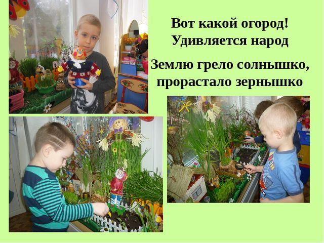 Поисково-исследовательская деятельность. Росток