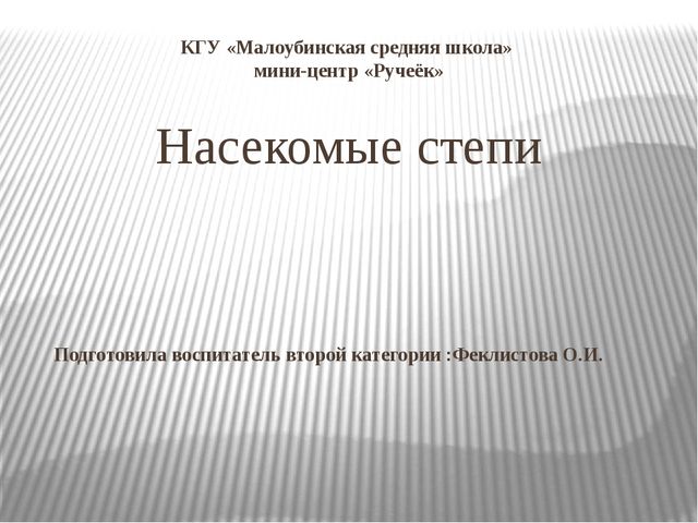 Насекомые степи. Презентация по ознакомлению с окружающим миром и экологии