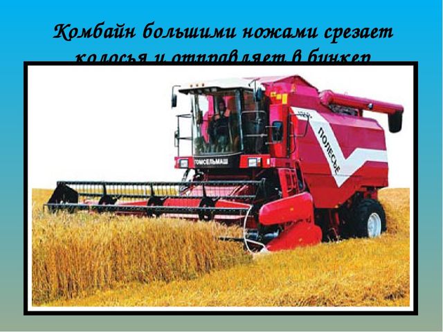 Как хлеб на наш стол пришёл? Презентация по ознакомлению с окружающим миром